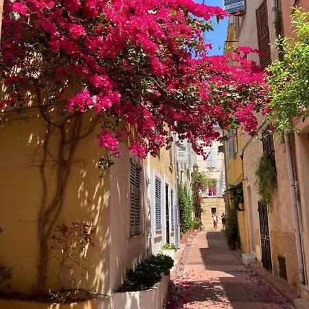 Apartamento T1 A Antibes